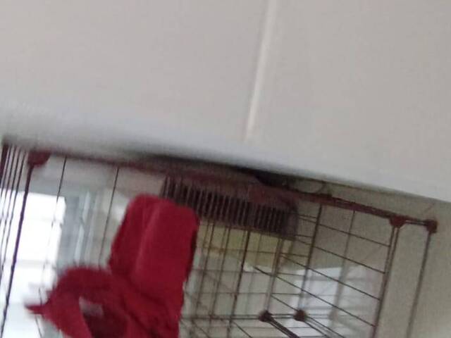 Sobrado para Venda em Osasco - 5