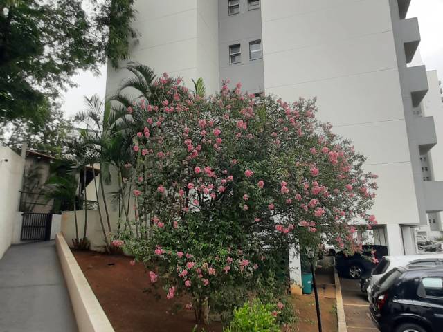 #1360 - Apartamento para Venda em Osasco - SP