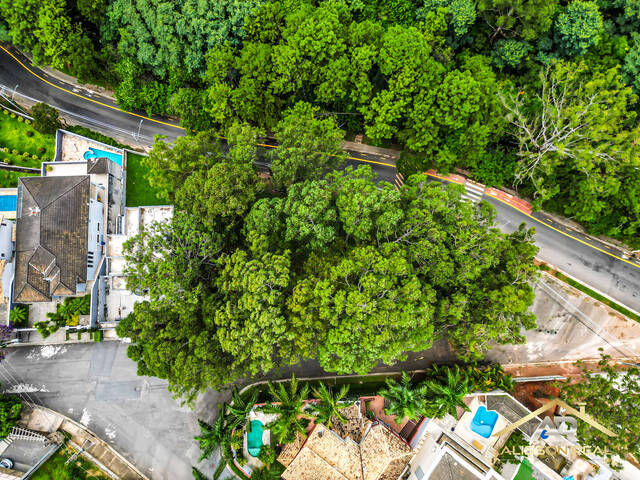 Terreno para Venda em São Paulo - 5